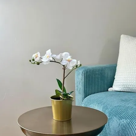 Apartmán Neu! Helle Dachgeschosswohnung